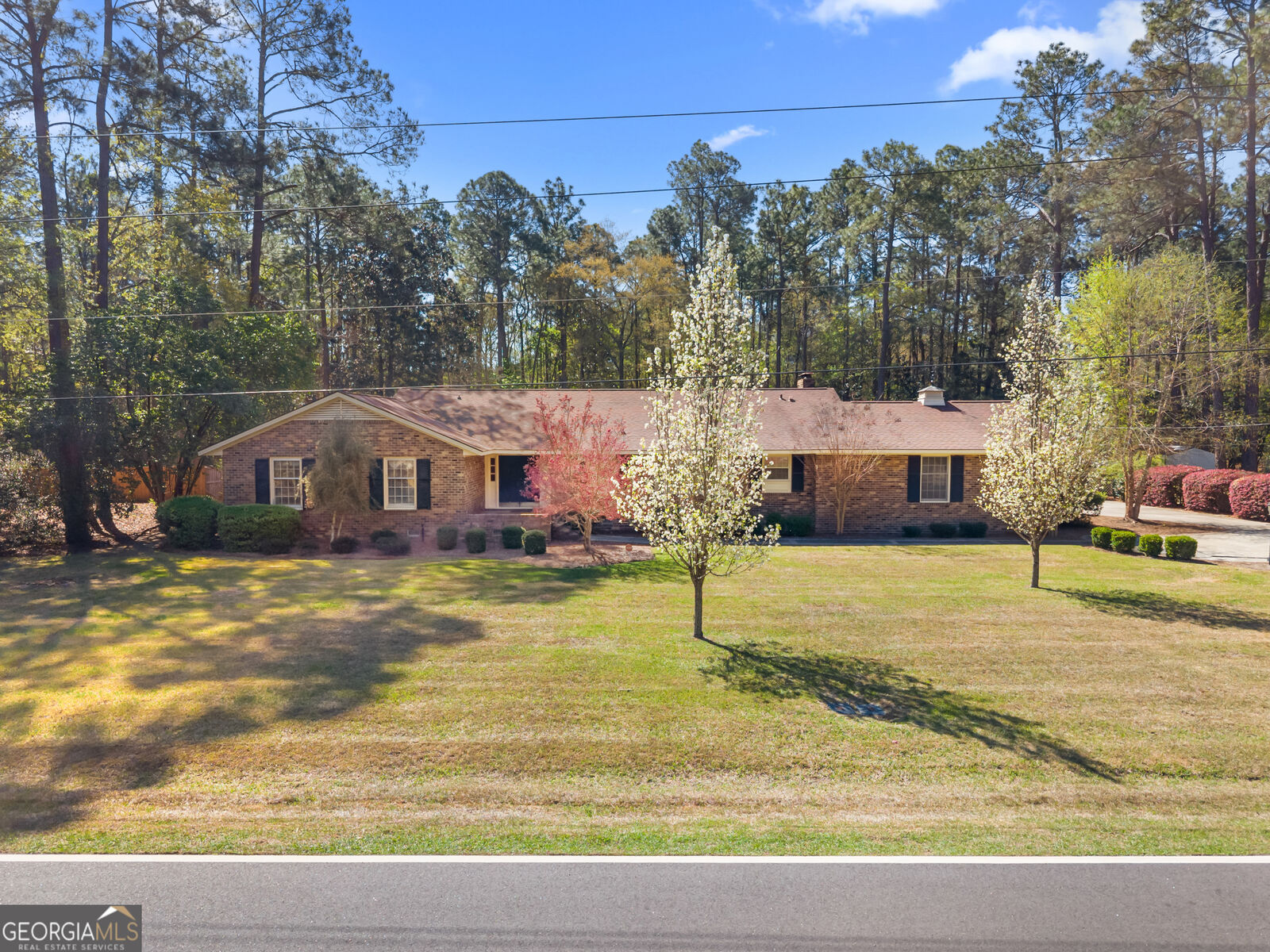 Property Photo:  102 Windsor Way  GA 30458 