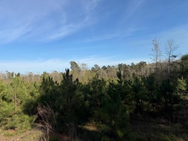 Property Photo:  1955 County Road 201  TX 75935 