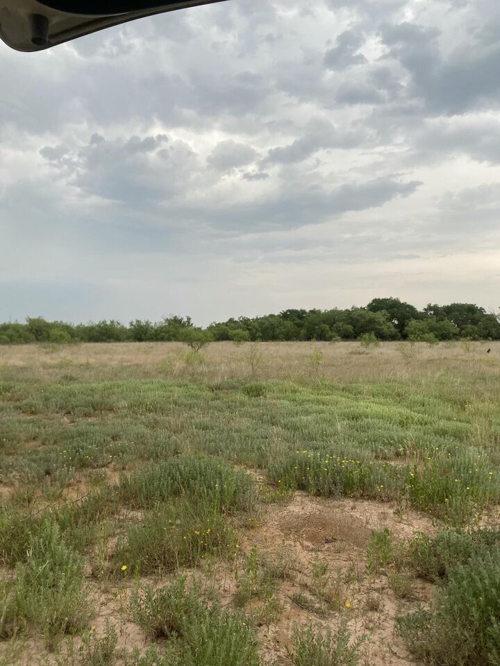 Property Photo:  Ab 304 Sec 1225 El & RR 24.138 Acres Blk 11 24.138 Acres  TX 79356 