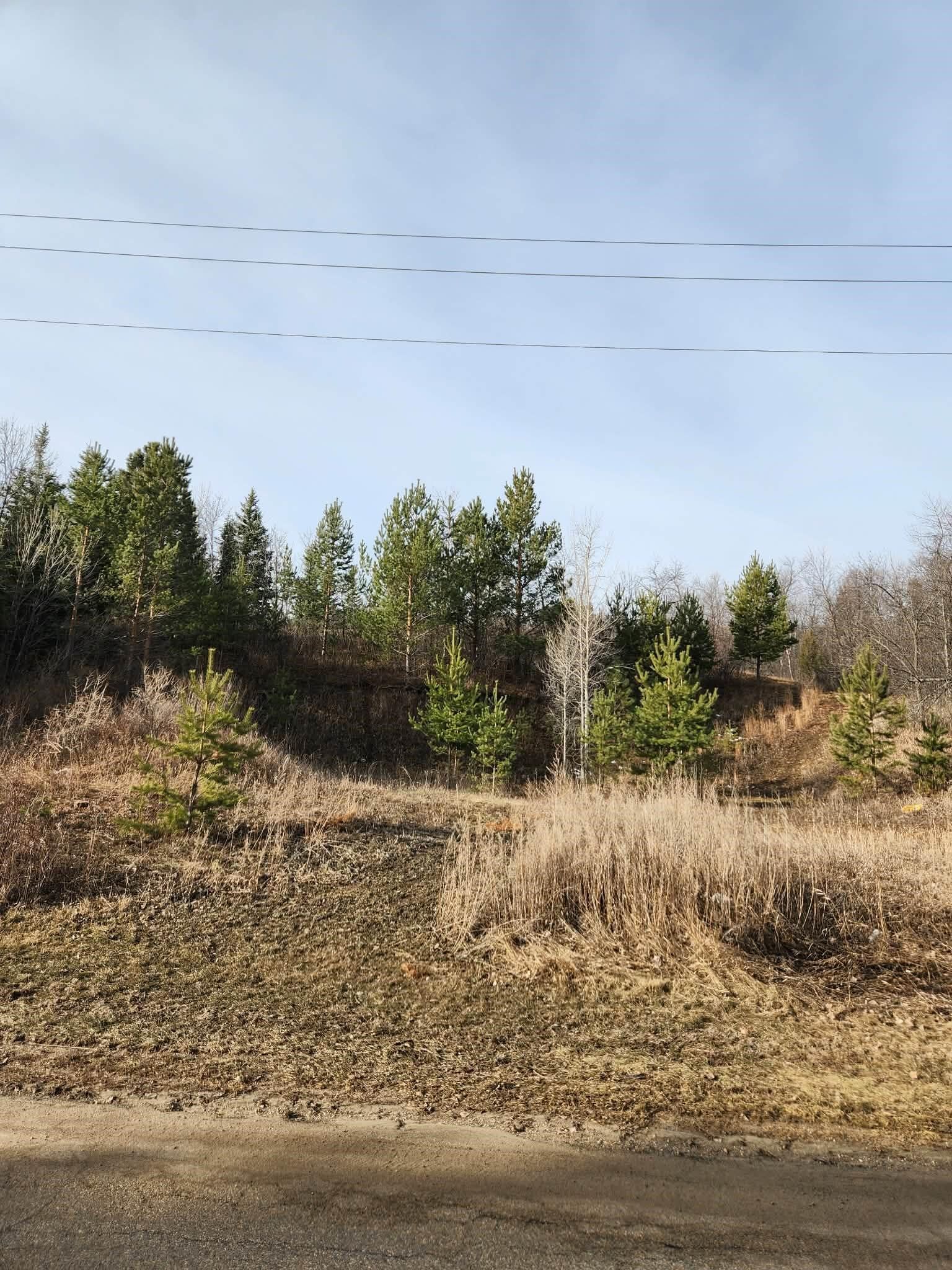 Property Photo: 00 County Road 19 SE ND 58701