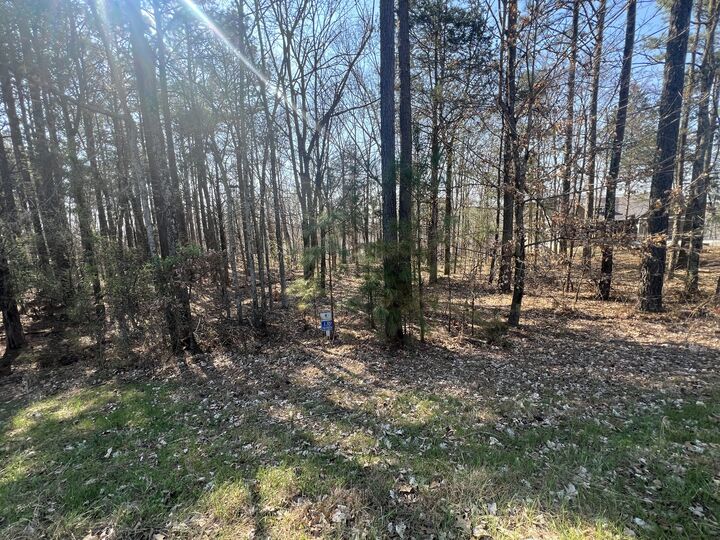 Property Photo:  Lot 139 Cherry Point  IL 62939 