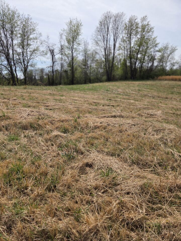 Property Photo:  0 Hancock Dr  TN 37357 