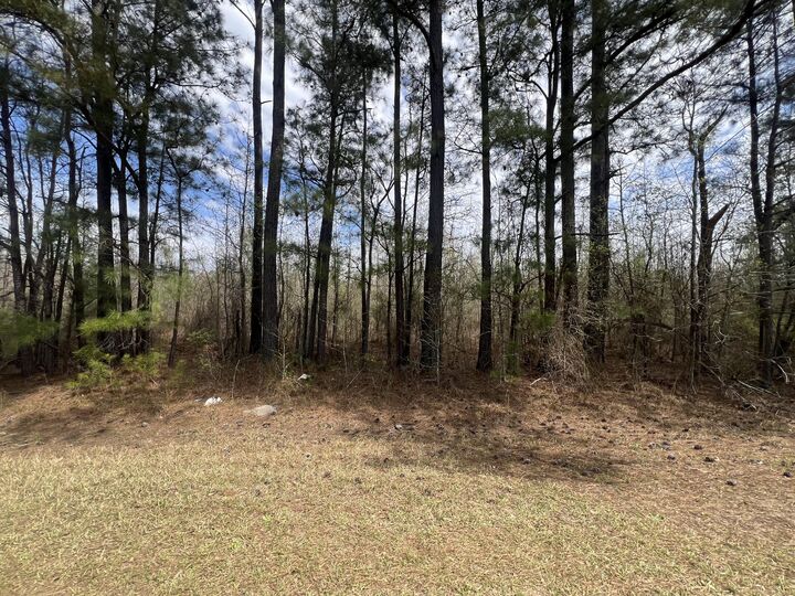 Property Photo: 0 Marshall Church Road GA 30824