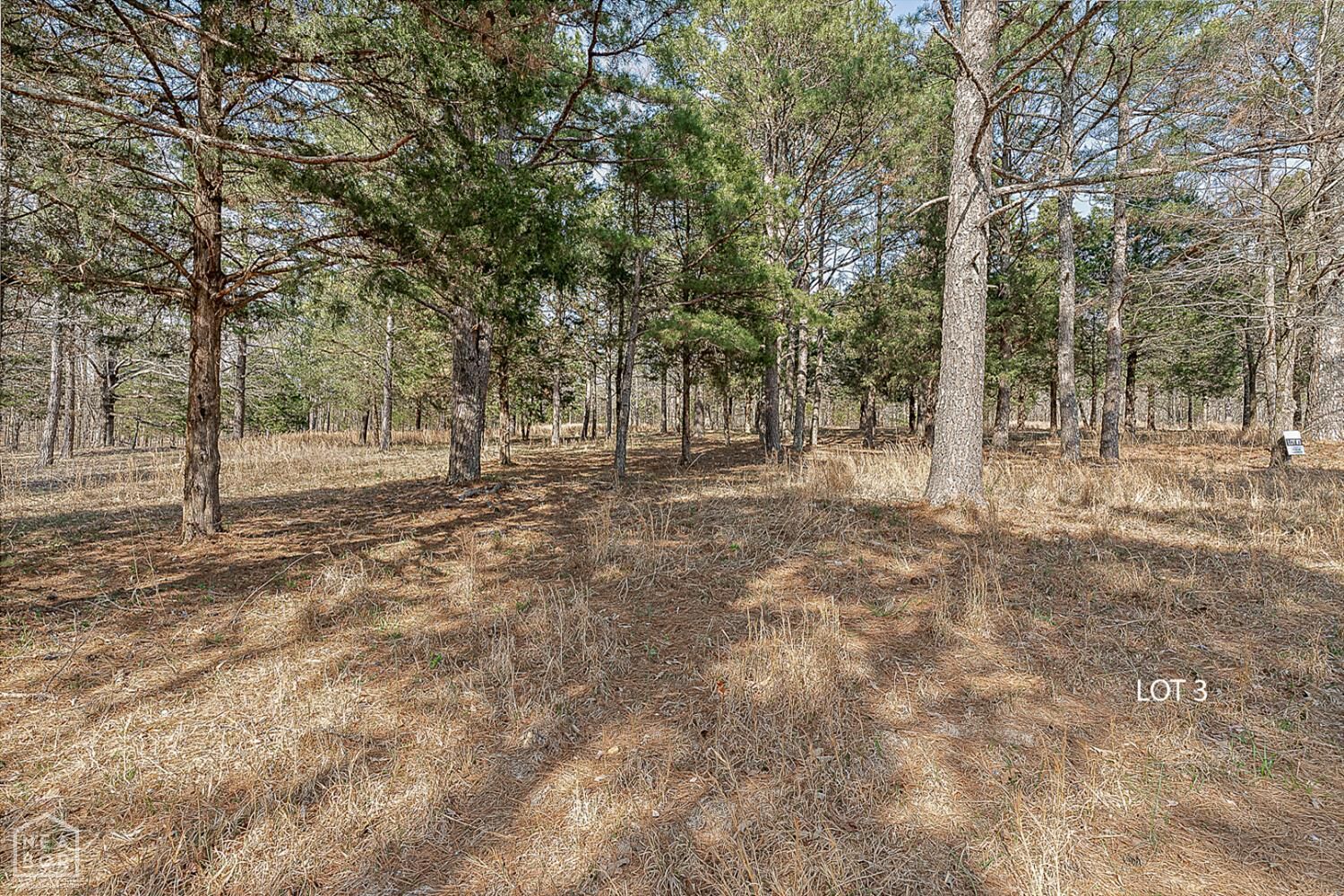 Property Photo:  3 Highway 351  AR 72405 