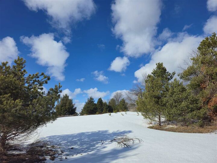 Property Photo:  5850 Deer Run  MI 49740 