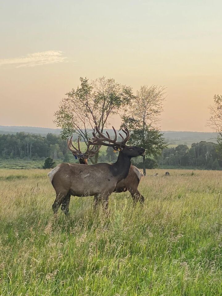 Property Photo:  30423 Grosbeak Road  MN 56347 