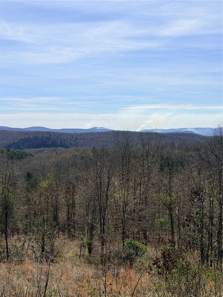 Property Photo:  000 Able Drive  AR 72675 