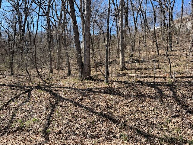 Property Photo: 64 Thunderbird Drive AR 72631