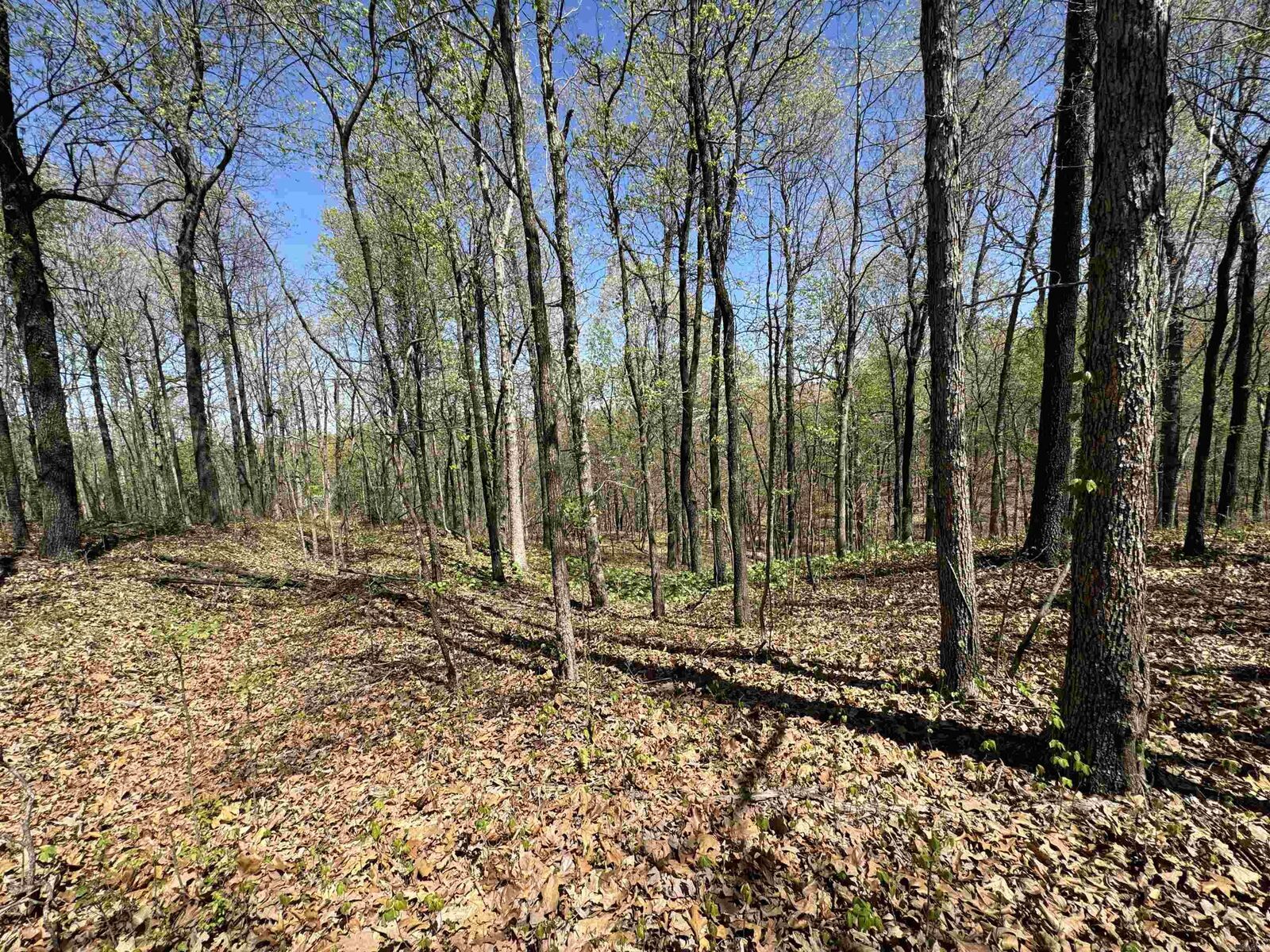 Property Photo:  0 Clay Rd 431  AR 72456 