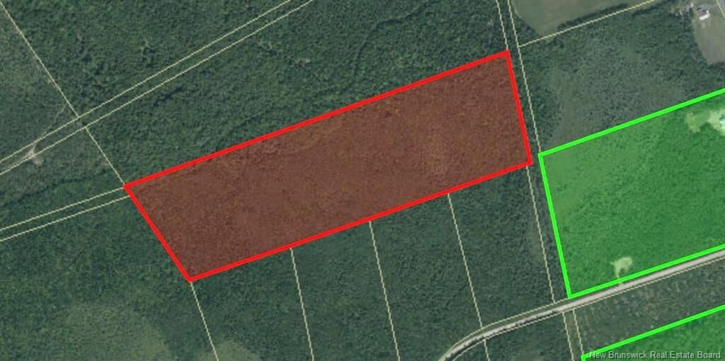Property Photo: Vacant Lot Rte 465 Beersville NB E4T 2N8