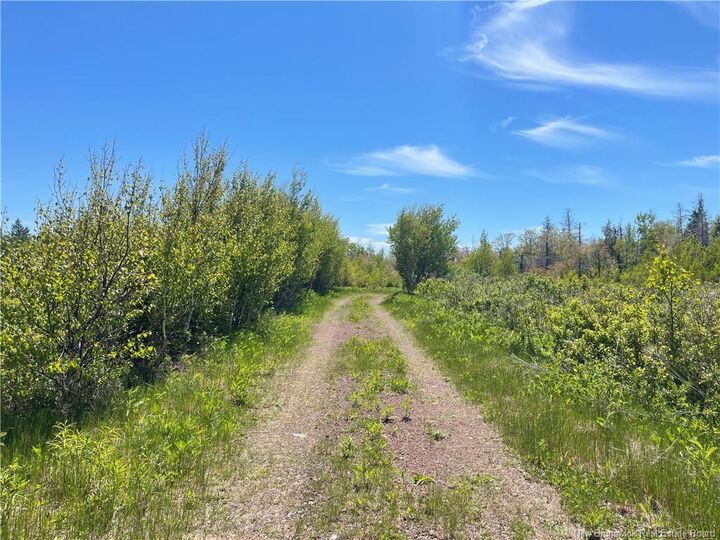 Property Photo:  Lot 95-5 P'Tit Barachois Road  NB E4P 7Y3 