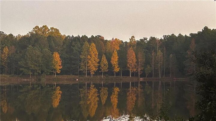 Property Photo:  37 Farmstead Way  GA 30276 