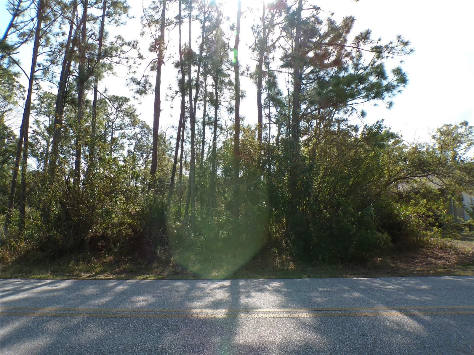 Property Photo:  13487 Eisenhower Drive  FL 33953 