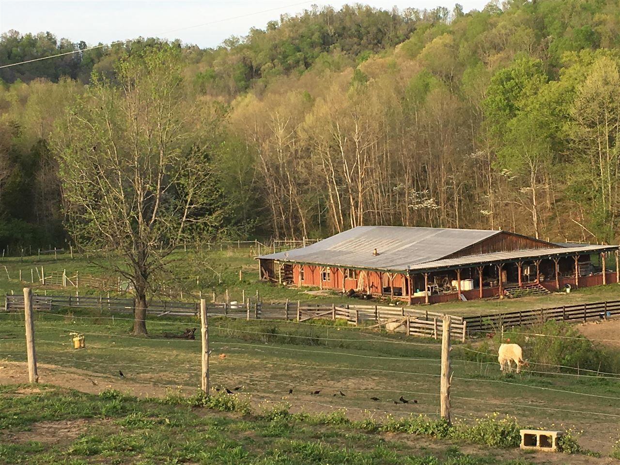Property Photo:  3898 Lawson Bottom Road  KY 42171 