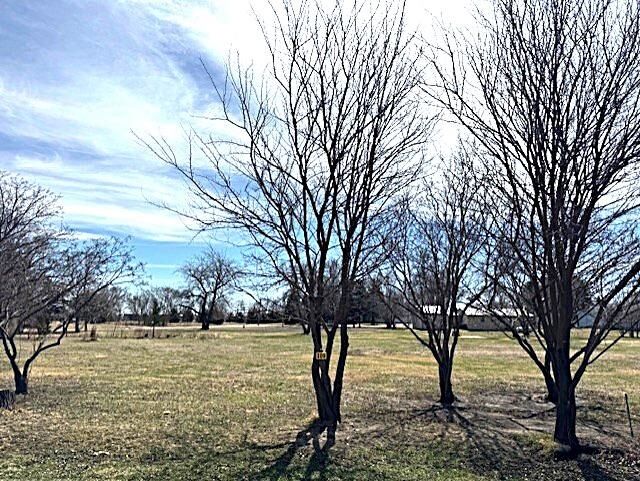 Property Photo:  309 W 12th Ave.  SD 57066 