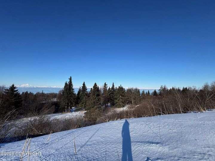 Property Photo:  L6 Mead Court  AK 99568 