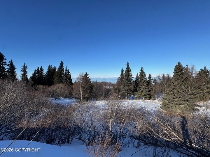 Property Photo:  L5 Mead Court  AK 99568 