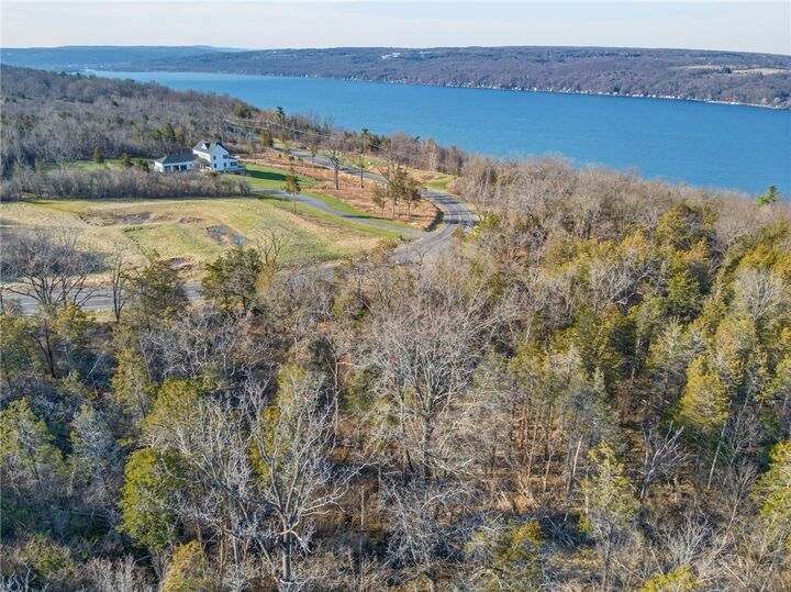 Property Photo: Blackchin Boulevard NY 14850