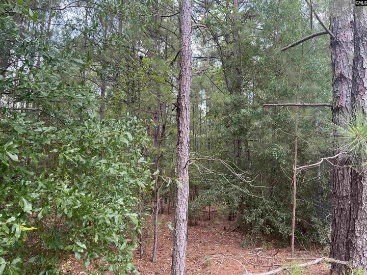 Property Photo:  Tbd Festival Trail  SC 29137 