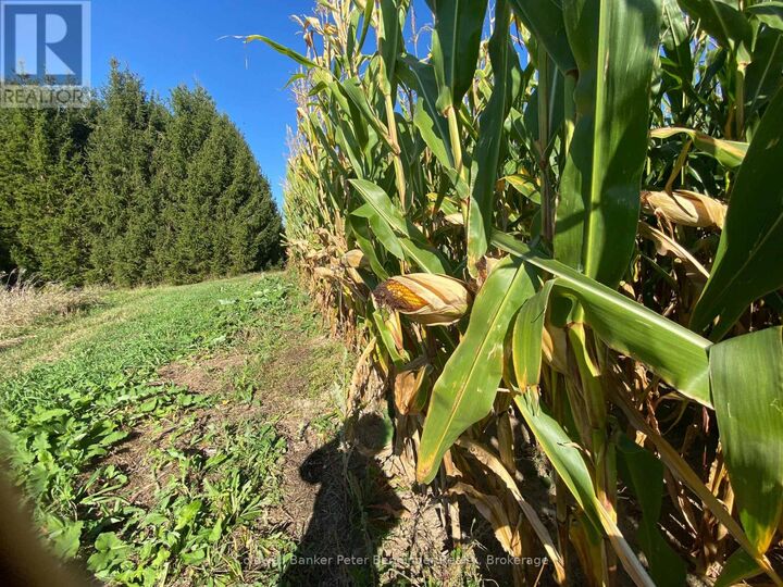 Photo de la propriété:  1315 Concession 8 Corners  ON N0G 2T0 