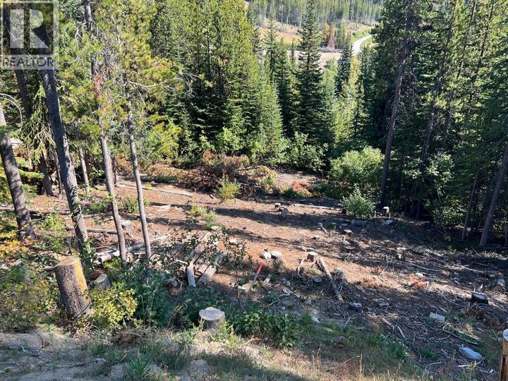 Property Photo:  Lot 122 Wapiti Creek Road  BC V0H 1T8 