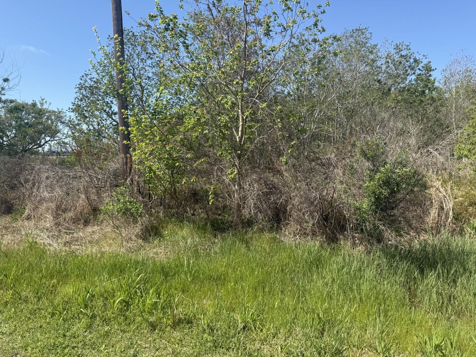 Property Photo:  01 W Bayshore Road  TX 77514 