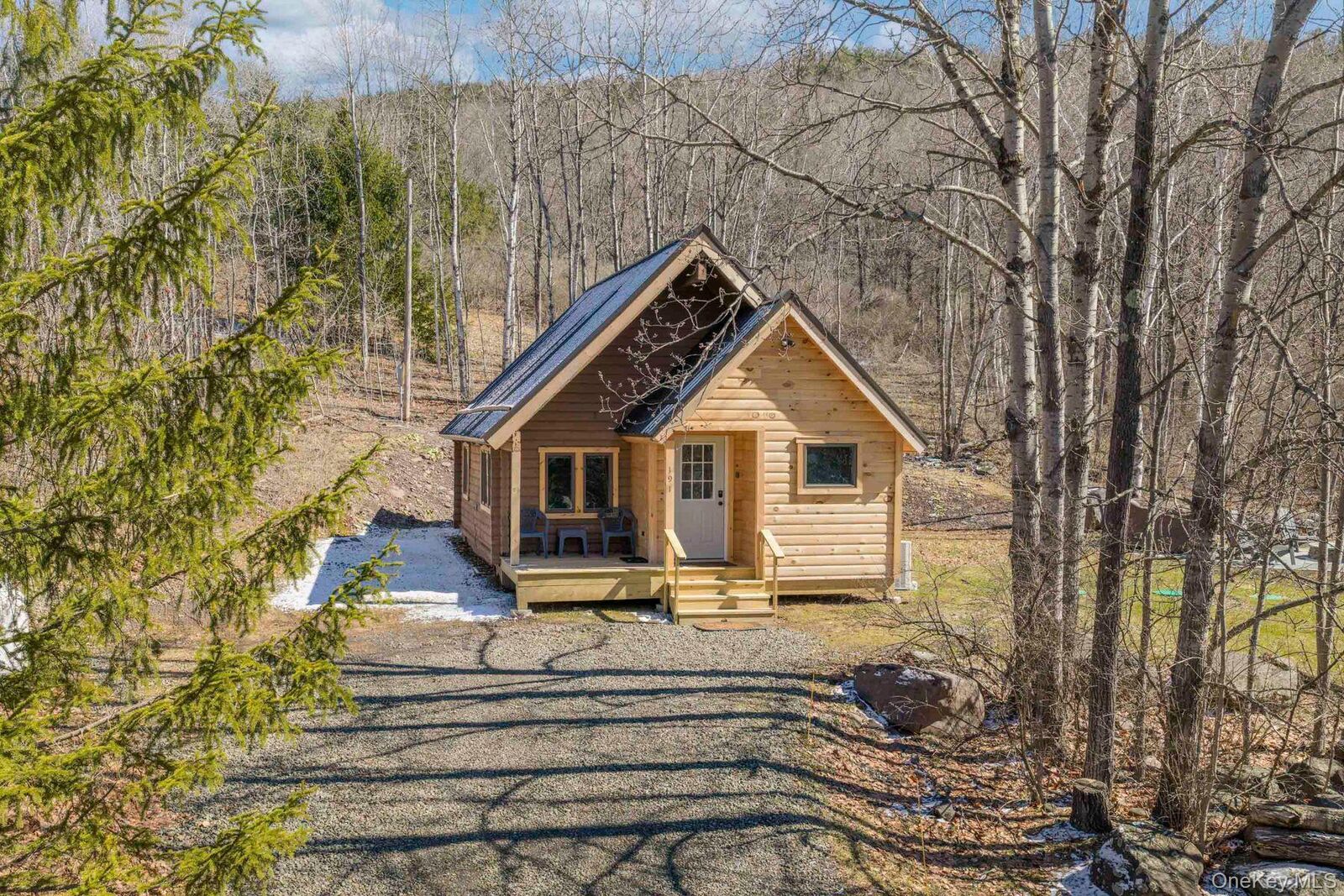 Property Photo:  191 Mill Road  NY 12455 