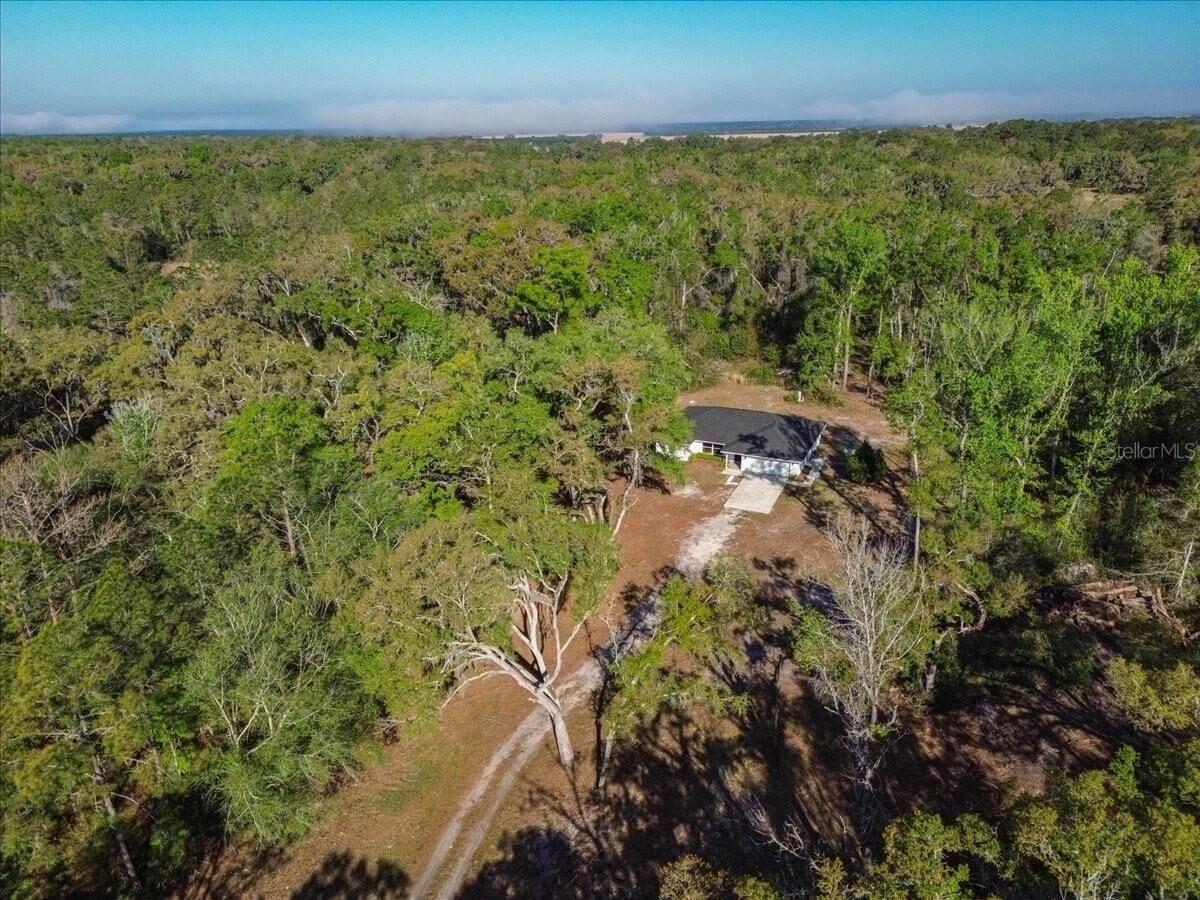 Property Photo:  957 NE 354th Avenue  FL 32680 