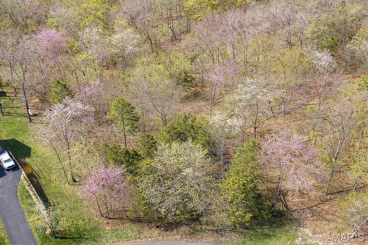 Property Photo:  0 Tall Pine Dr  MO 63670 
