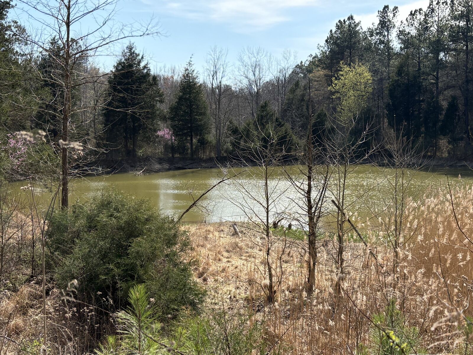 Property Photo:  1000 State Route 831  KY 42345 
