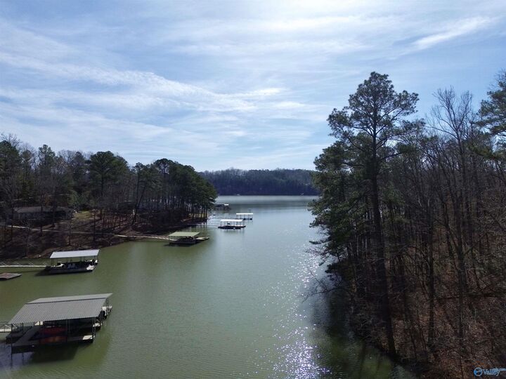 Property Photo:  129 Jackson Road  AL 35572 