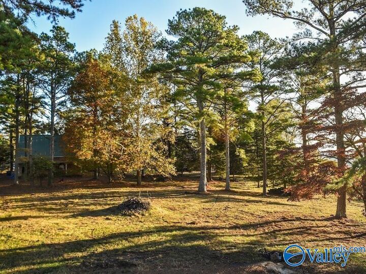 Property Photo:  157 Edmonds Drive N  AL 35747 