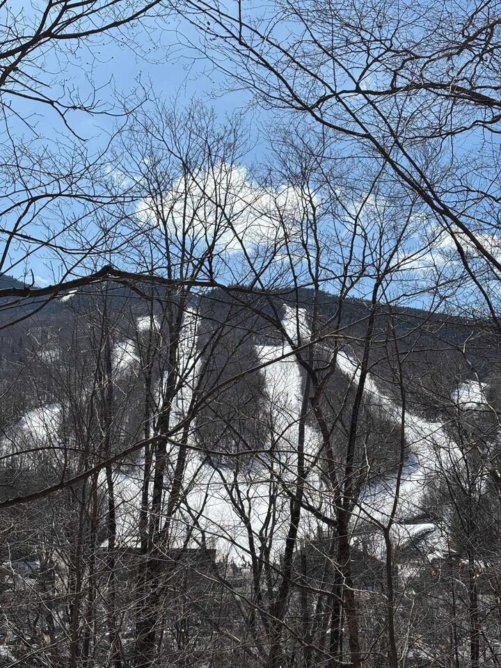 Property Photo:  3 Blueberry Road  NH 03251 