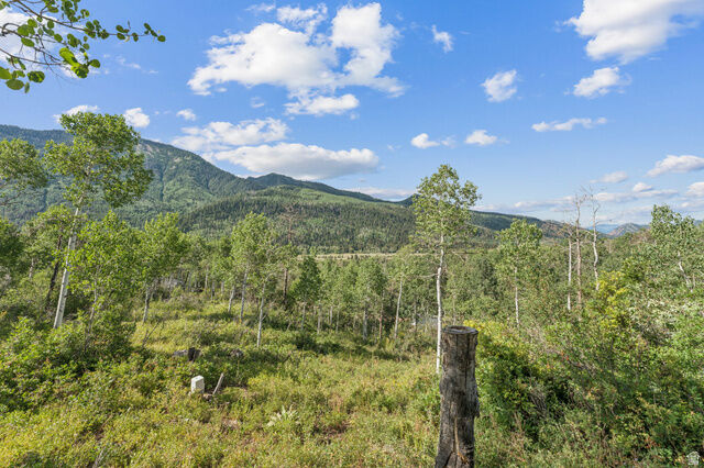 Property Photo:  126 Comanche 126  UT 84055 