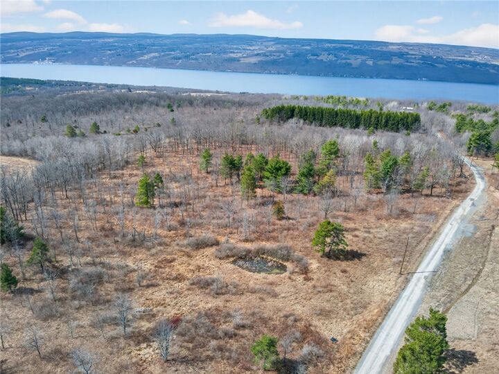 Property Photo: Satterly Hill Road NY 14818