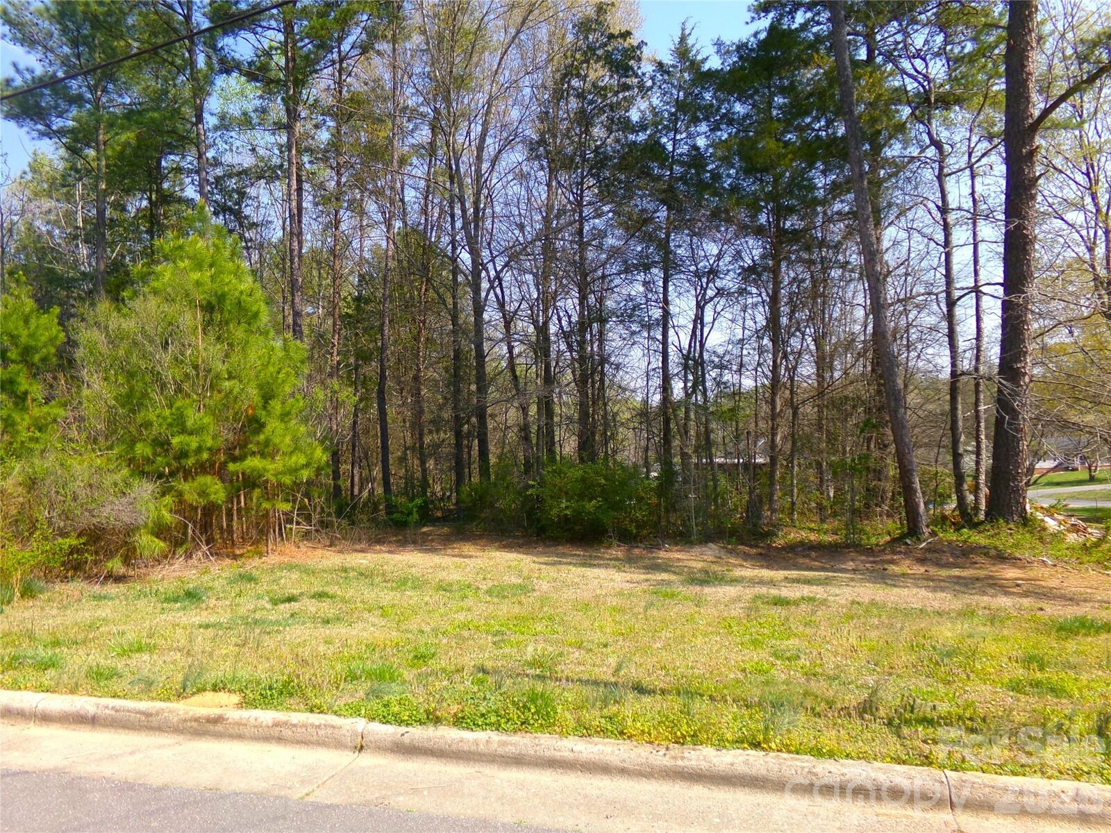 Property Photo:  000 Ross Drive 1  NC 28001 