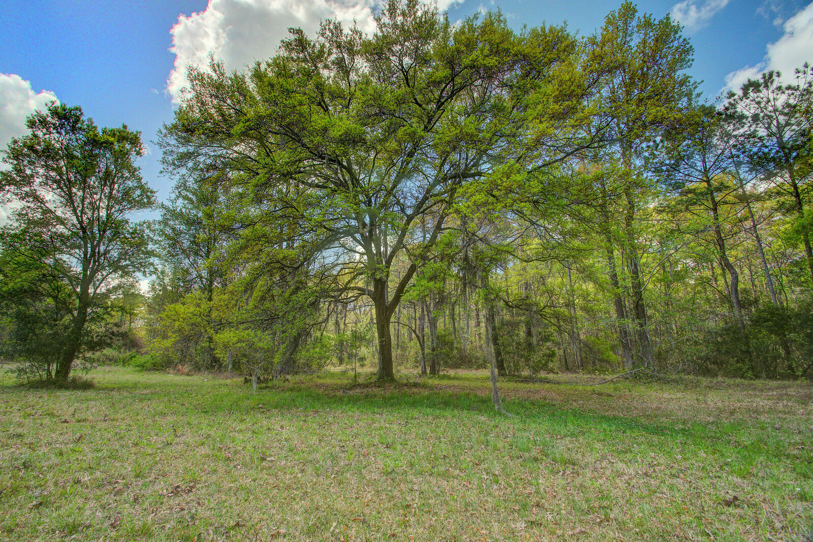 Property Photo:  5865 Octavia  SC 29470 