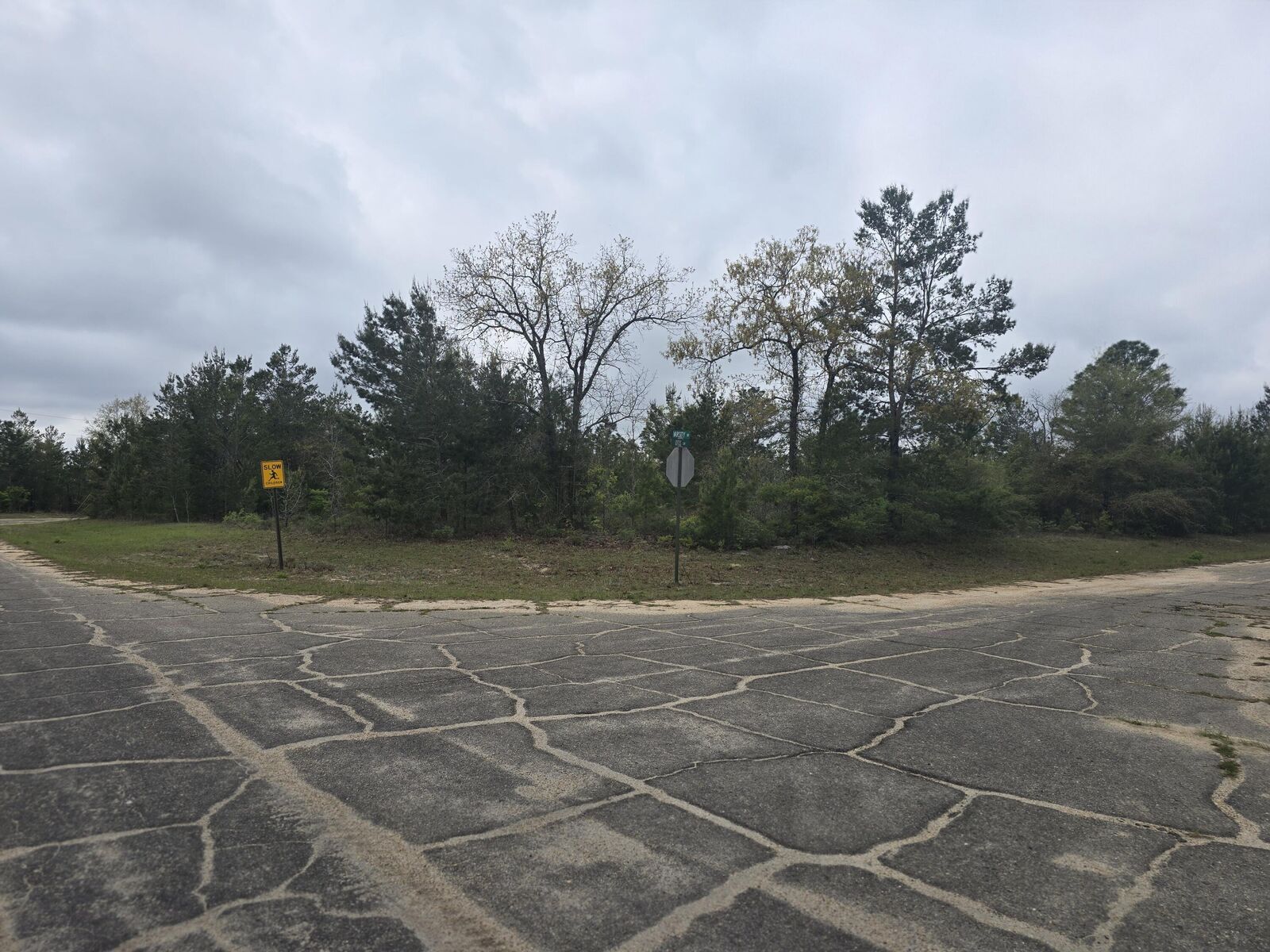 Property Photo: Tbd Otis Lane FL 32428