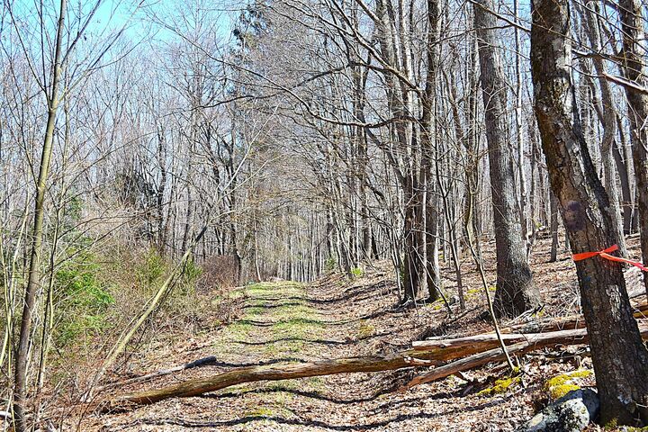 Property Photo:  2245 Crowder  WV 24941 