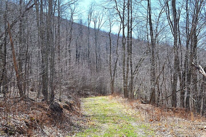 Property Photo:  2245 Crowder Rd  WV 24941 