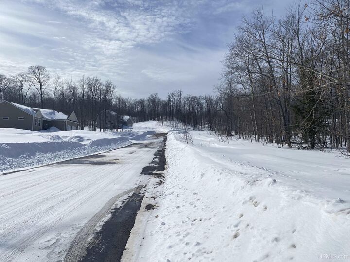 Property Photo:  Tbd Lot 27 S Whealkate Drive  MI 49963 