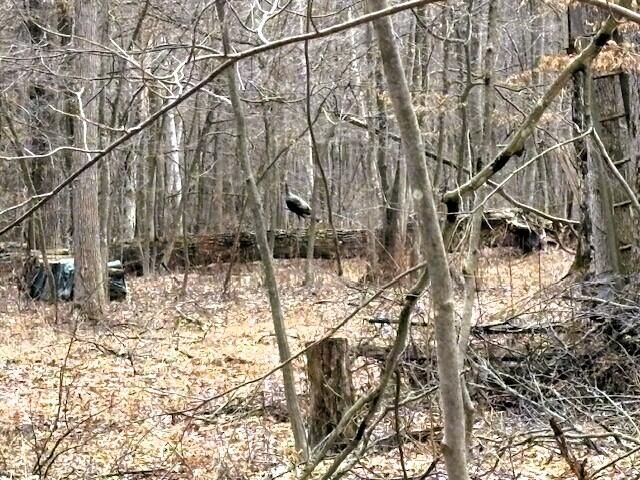 Property Photo:  V/L W Prairie Road  MI 48640 