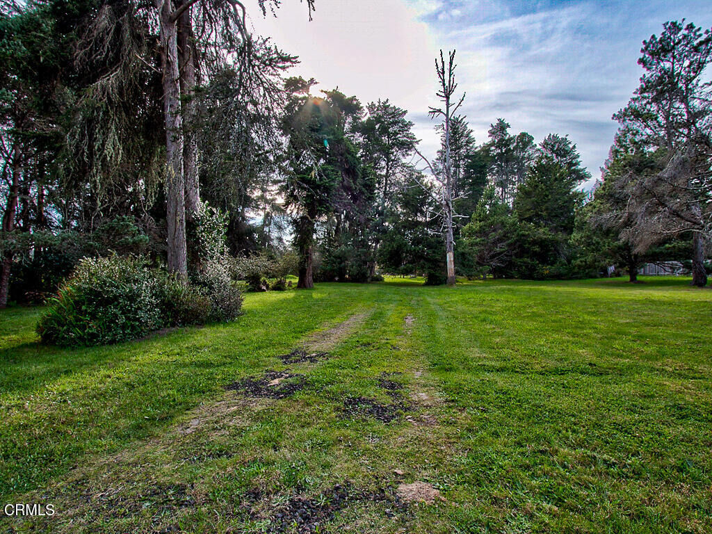 Property Photo:  19100 Summers Lane  CA 95437 