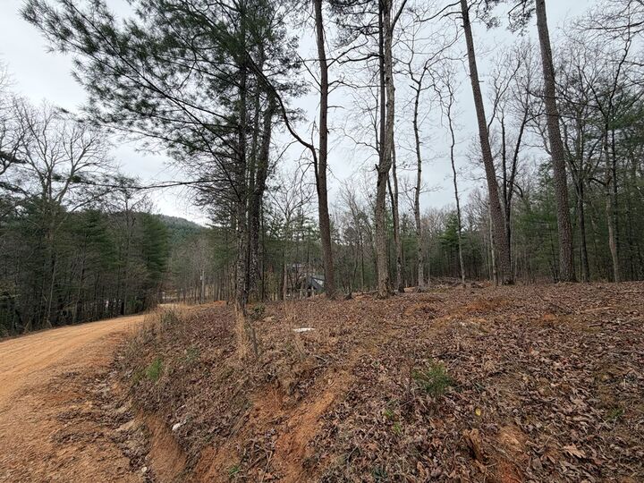 Property Photo:  Lot # 5 Oakwood Trail  GA 30559 