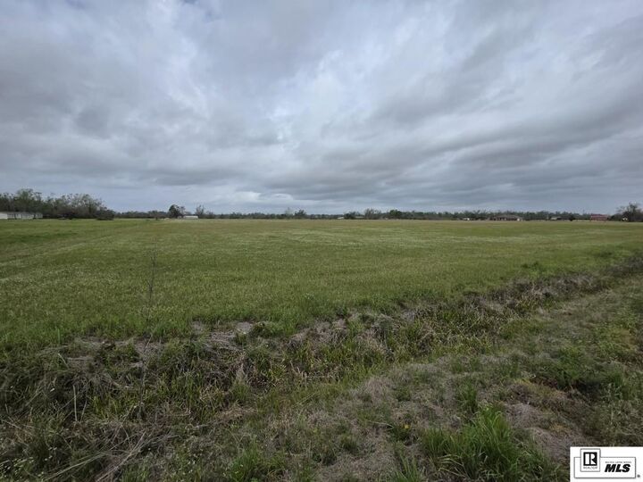 Property Photo:  0 Honor Greer Road  LA 71269 
