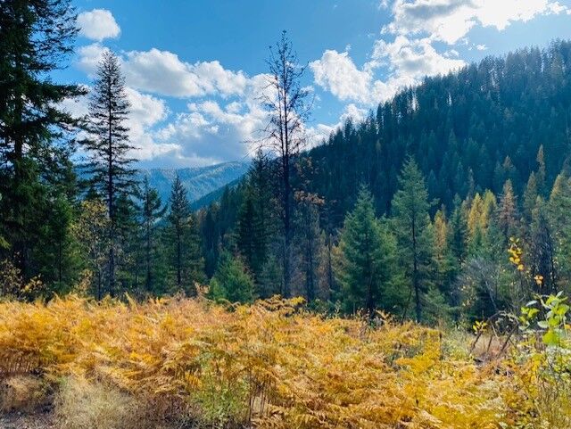 Property Photo: Nhn Pilgrim Creek Road MT 59853