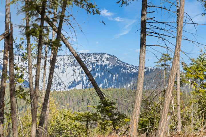 Property Photo:  310 Rolling Ridge Drive  MT 59901 