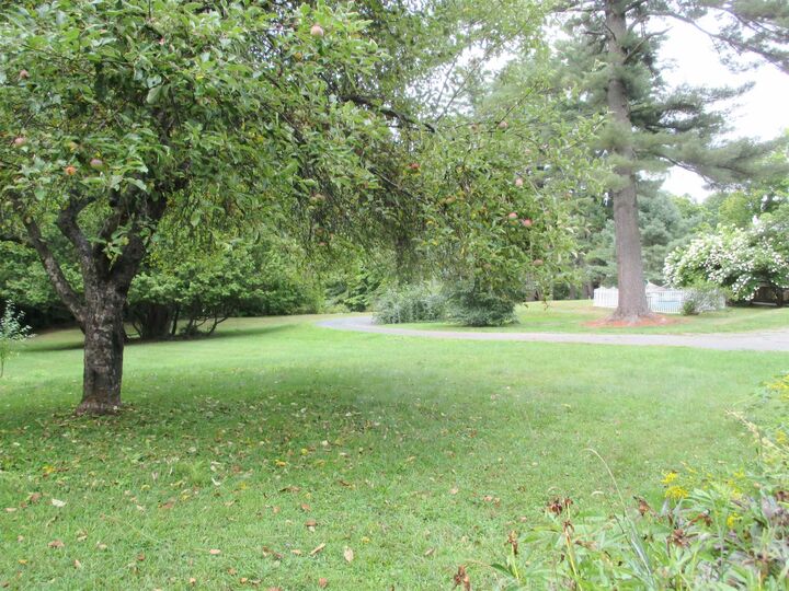 Property Photo:  38 Berkley Street  NH 03574 