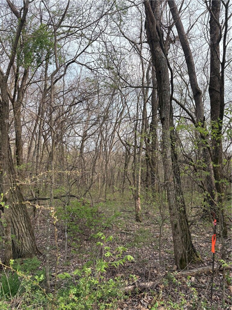 Property Photo:  Lots 169, 170, 171 Huckleberry Circle 7-Rurban  AR 72732 