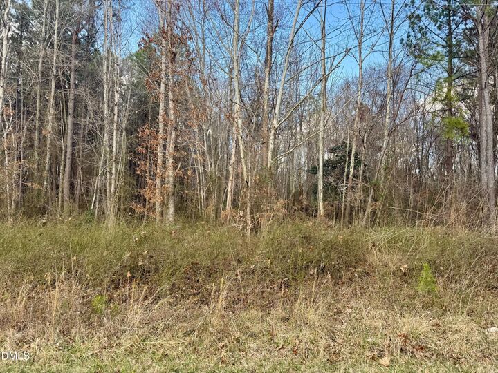 Property Photo:  000 Weldons Mill Road  NC 27537 